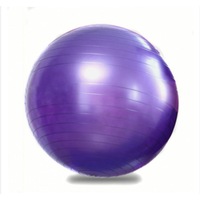 55Cm Yoga Ball Fitness Pilates Gym Exercise Workout Exercise Balls