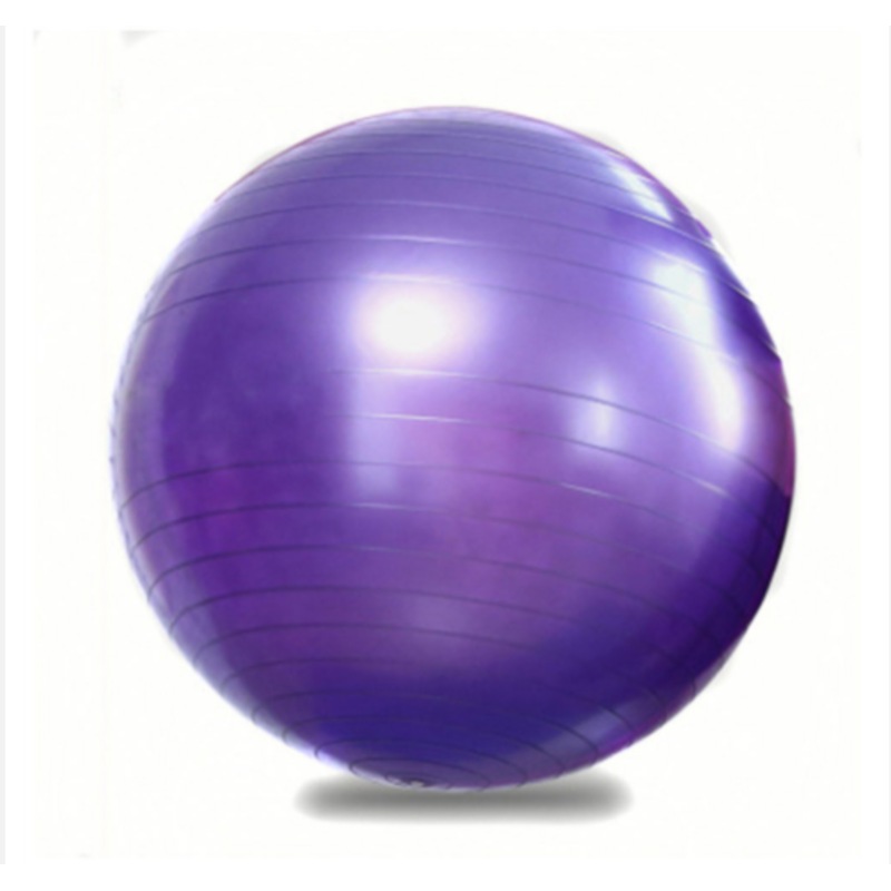 Buy 55Cm Yoga Ball Home Fitness Pilates Gym Ball Home Exercise Workout ...