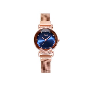 Veile Studios 9992 Elegant Iron Absorbing Stone Belt Female Watch Fashion All Match Simple Waterproof Watches