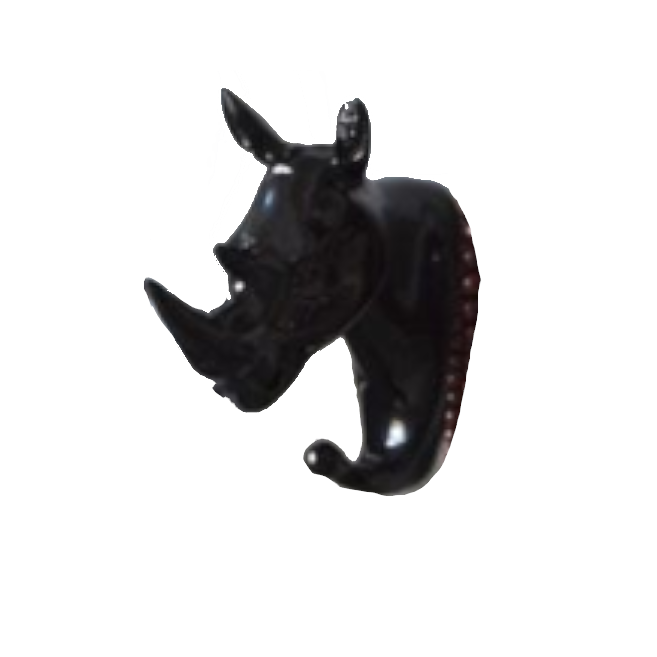 Image 22