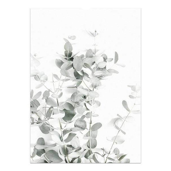 Image 16