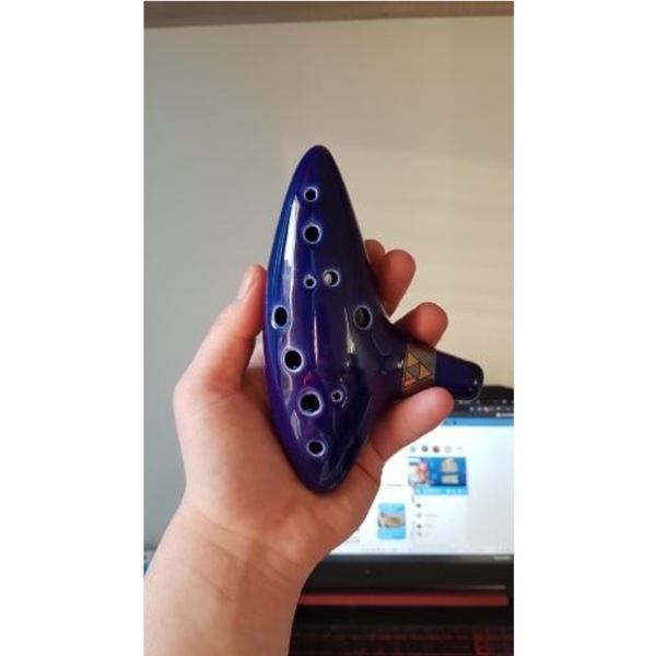 Image 5
