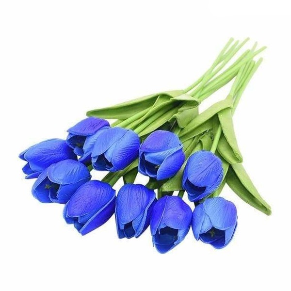 Image 11