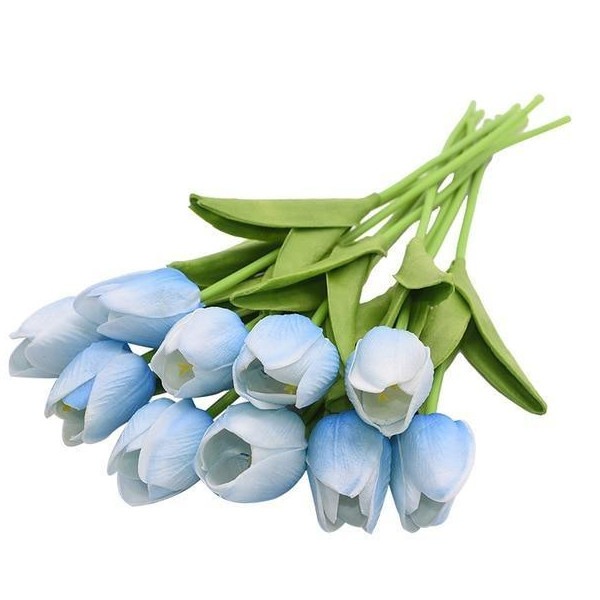 Image 12
