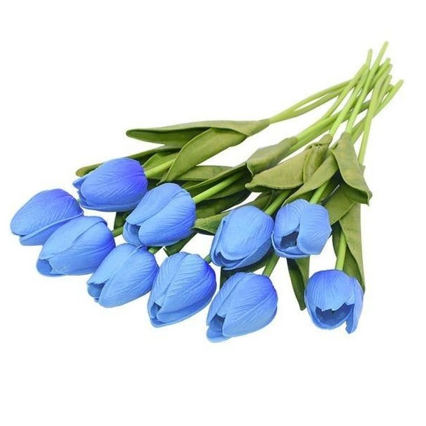 Image 13