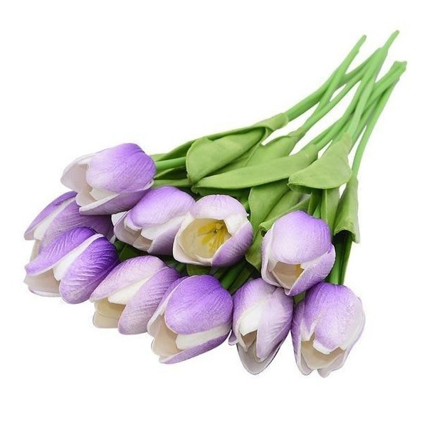 Image 15