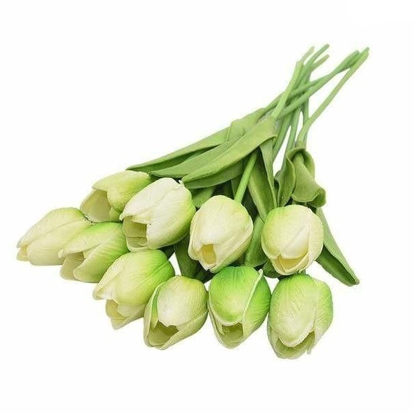 Image 16