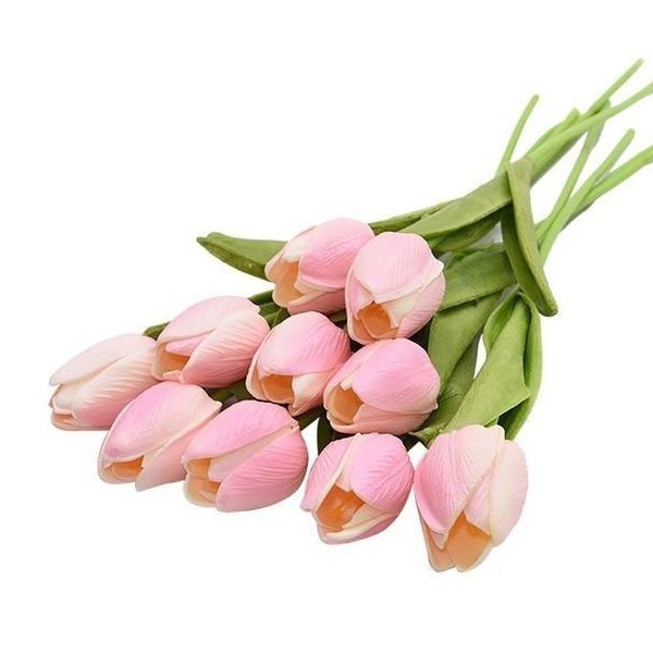Image 17