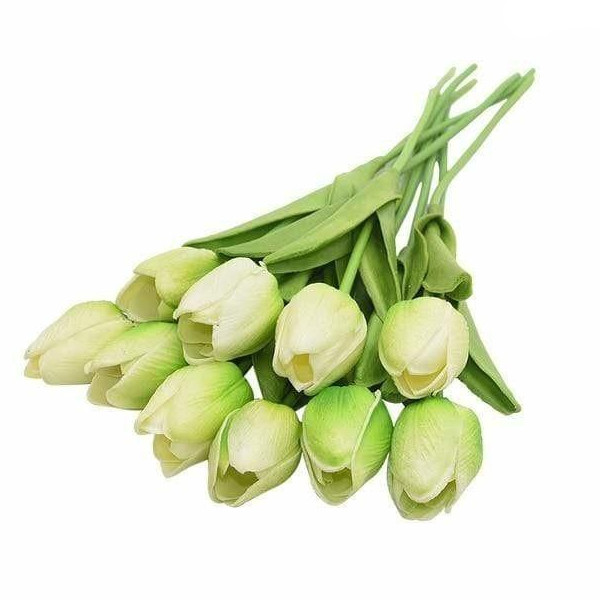 Image 18