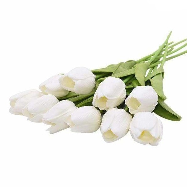 Image 20