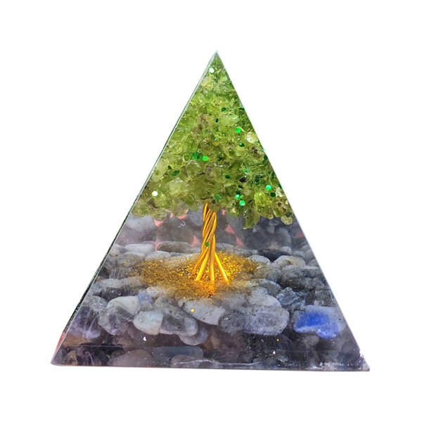 Image 15