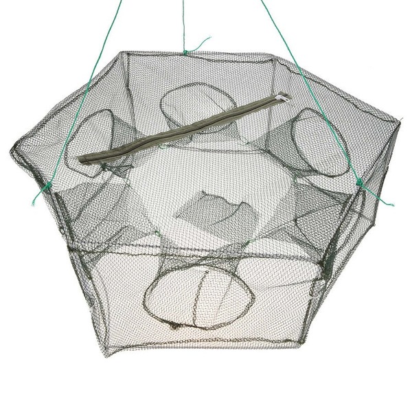 Image 4