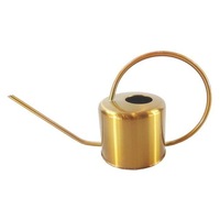 Gold Elliptical Watering Can Indoor Garden Decor Watering Cans & Spray Bottles
