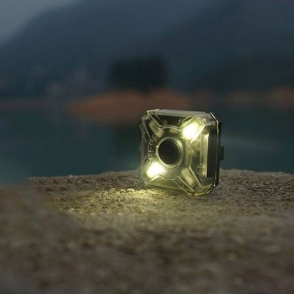 Image 5