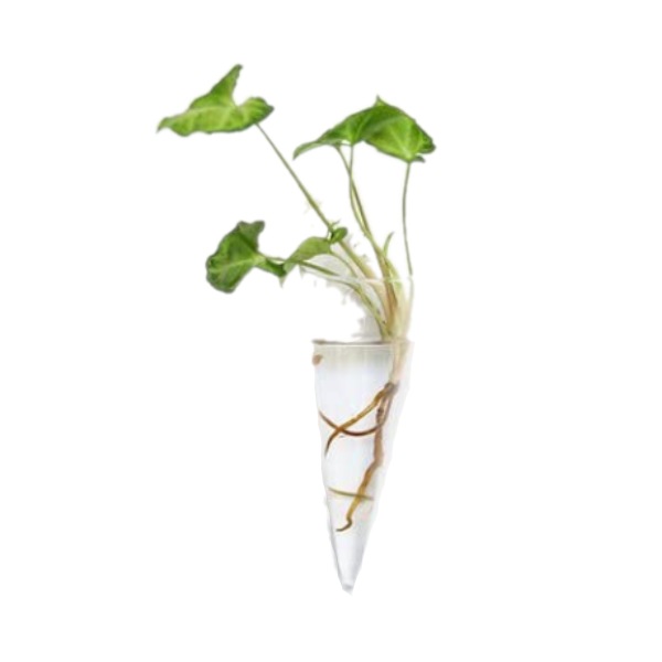 Image 16