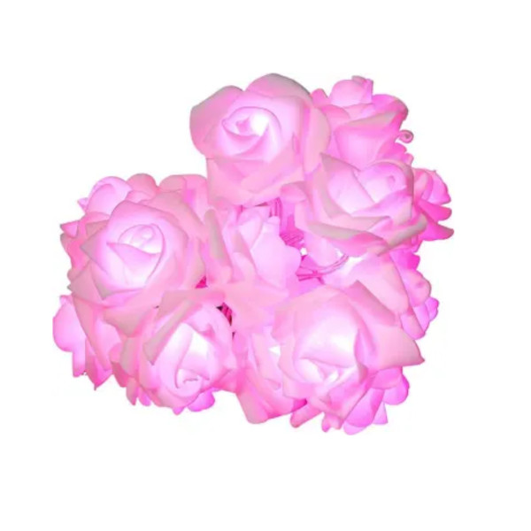 Image 11