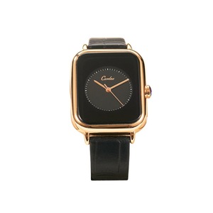 Veile Studios L.1062 Fashion Simple Small Square Watch Casual Waterproof Ladies Quartz Belt Watches