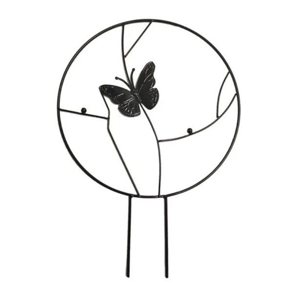 Image 11