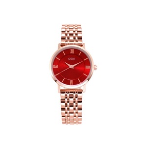 Veile Studios Shiny Steel Belt Female Watch And American Simple Fashion Casual Waterproof Watches