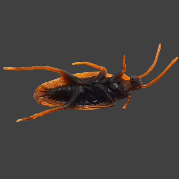 Image 4