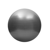 Sports Yoga Balance Ball Exercise For Fitness Stability Extra Thick Professional Grade Anti Burst Workout Program Sliver 85Cm Exercise Balls