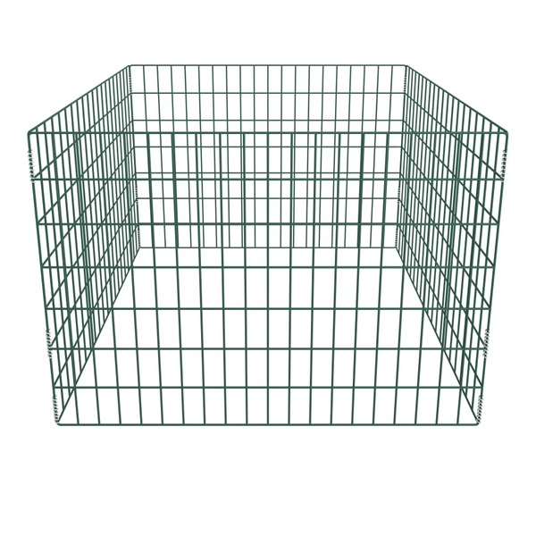 Image 2