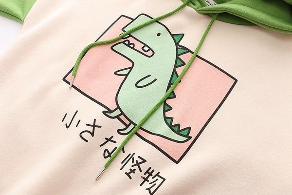 Image 21