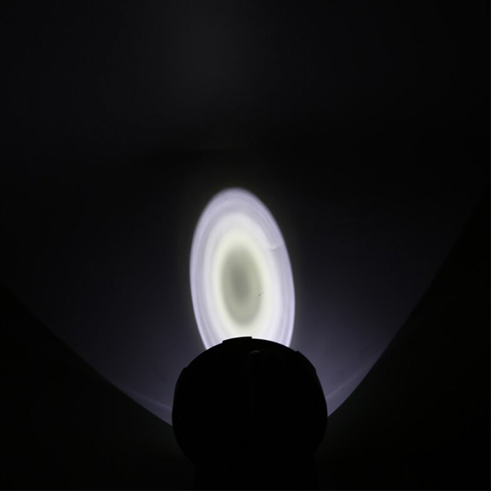 Image 6