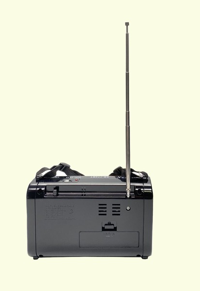 Image 2