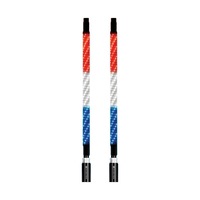ECOXGEAR 2 Foot Whip LED Kit W/ Controller