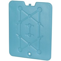 320x 255 x 13mm Cooler Bag Large Esky Freezer or Re-Freezable Ice Bricks Pack