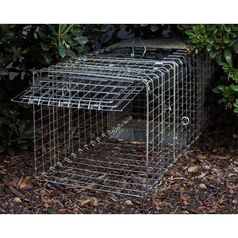 Buy Foldable Live Animal Trap 13inch Possum Feral Cat Rabbit Bird 