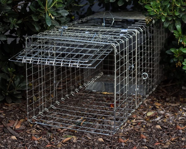 Image 8