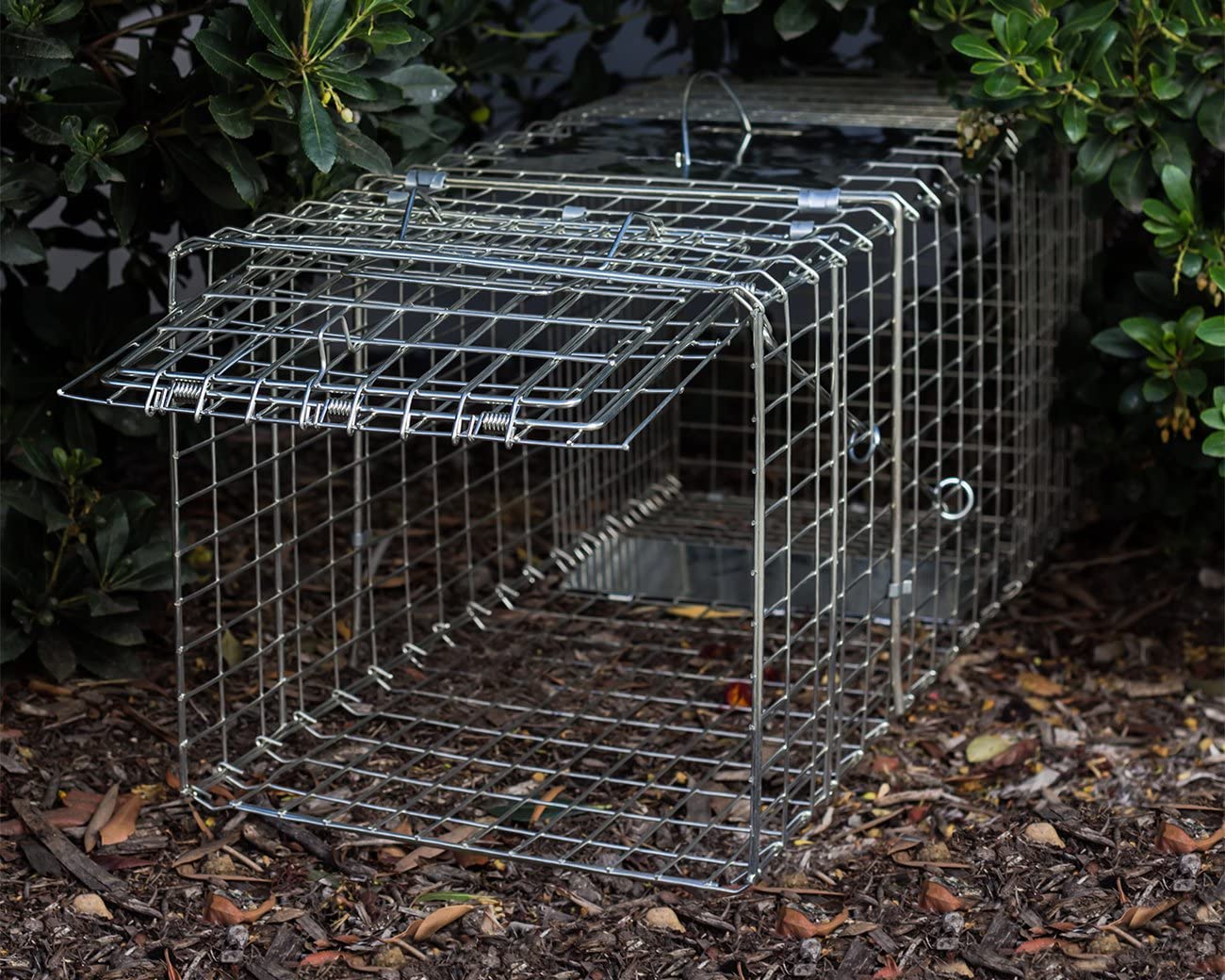 Image 8