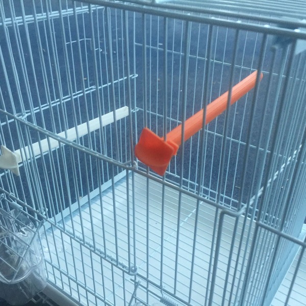 Image 5