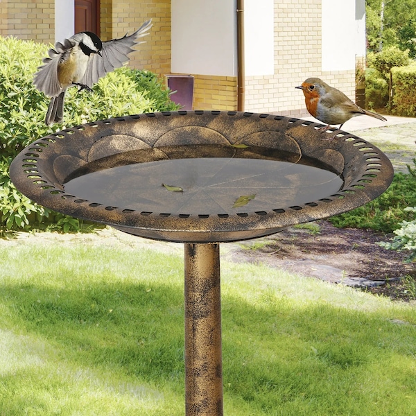 Image 11