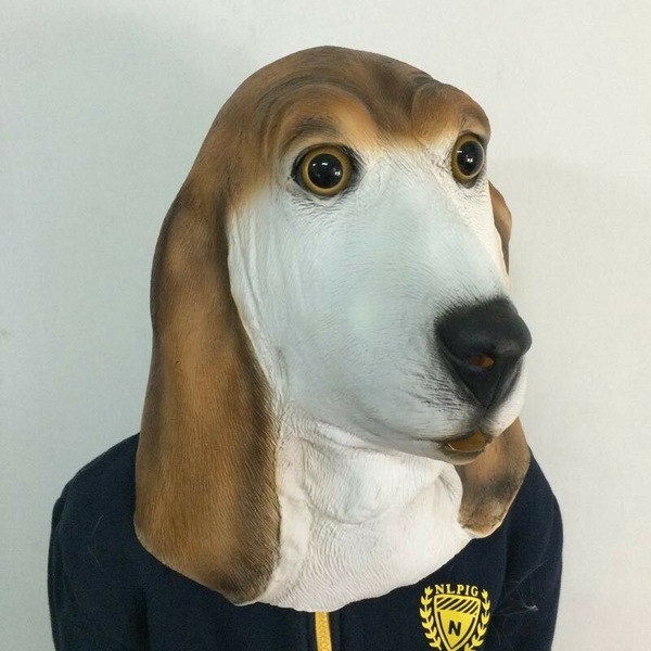 Image 7