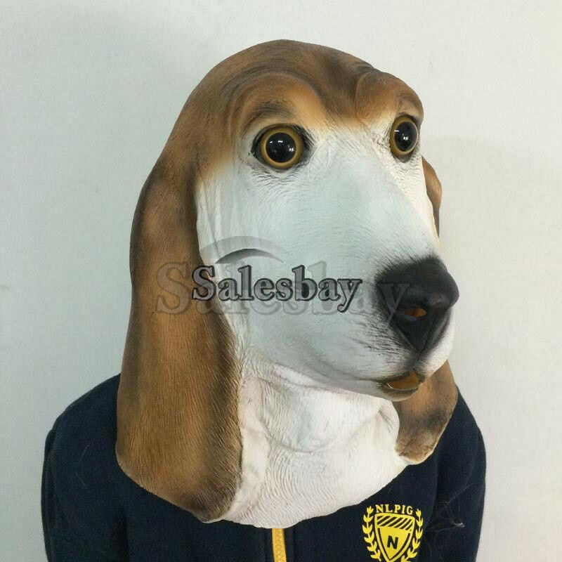 Image 17