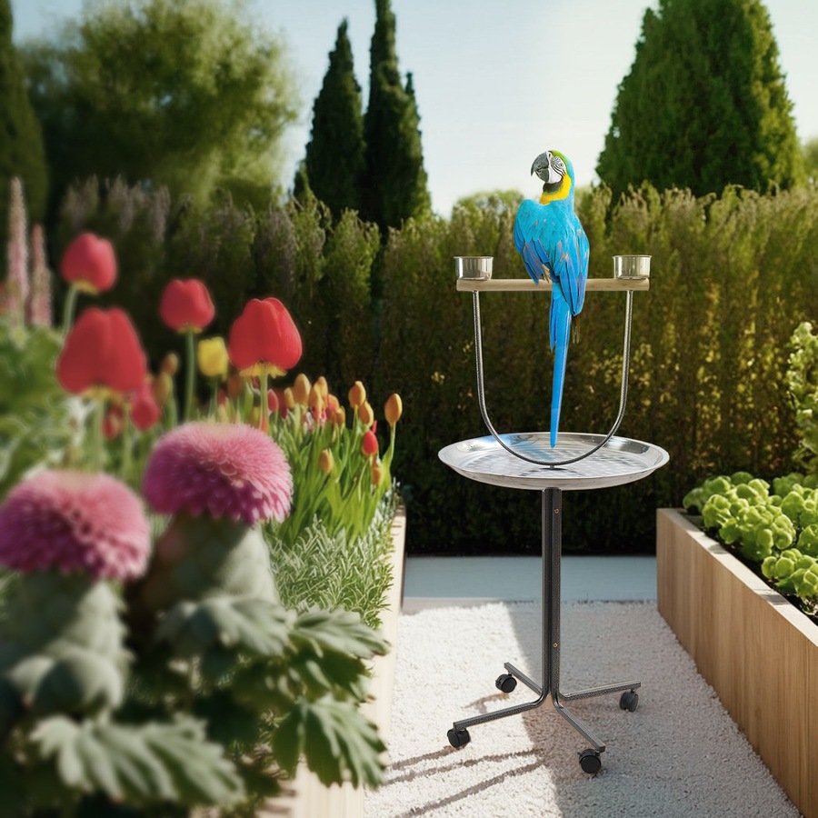 PetBro Parrot Perch Play Stand Bird Activity Rolling Wheel Rest Wrought Iron