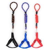 Pet Dog Collar Lead Training Leash Safety Collars S M L Halter Nylon
