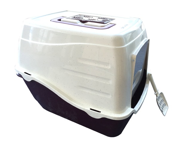 Image 4