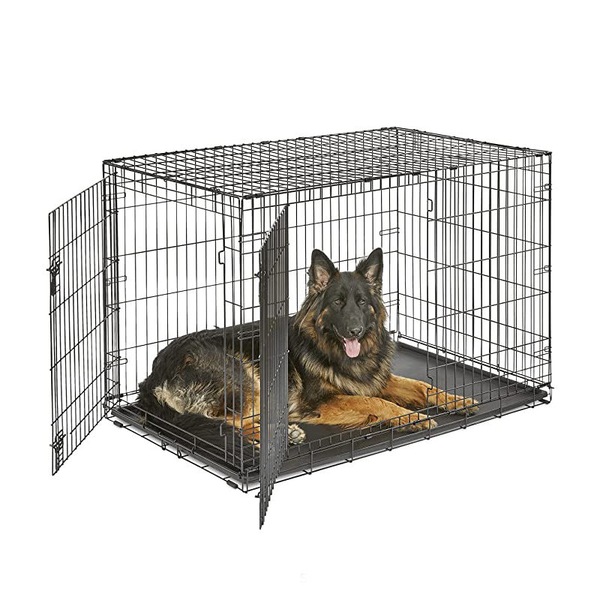 Image 4