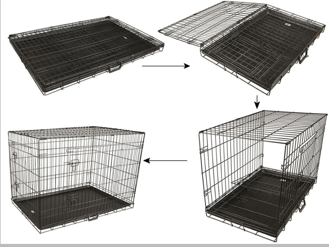 Image 11
