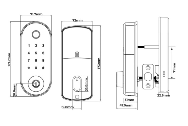 Image 7