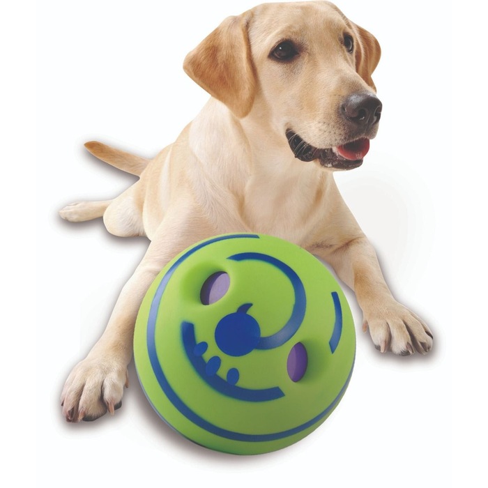 Dog Supplies Black Friday Online Deals MyDeal