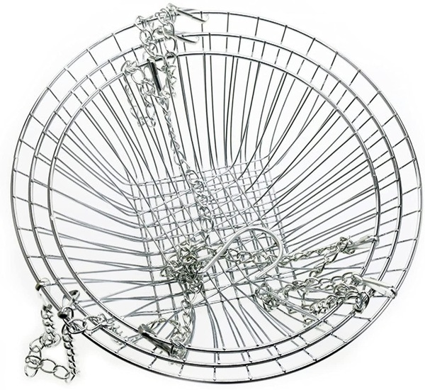 Image 7