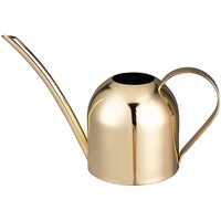 Mini Watering Can Indoor for Kids House Desk Office Plants Bonsai Stainless Steel (15oz/450ml)