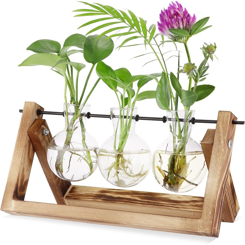 Buy Plant Terrarium Wooden Stand, Desktop Glass Planter Bulb Vase with