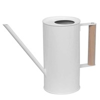 Watering Can for Indoor House Plants Long Spout Brushed Stainless Steel Watering Pot, 45oz/1.3L