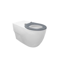 Gentec STERISAN® - Care Close Coupled Toilet Suite DDA Compliant - STERISAN - Anti Microbial 800, Grey Seat and Accessible Raised Button - Complies to AS1428.1- 4 Star Wels Rating Half Flush 2.9 Lpm -